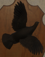 Melanistic - Back