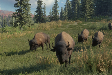 Moose, TheHunter: Call of the Wild Wiki