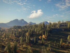 Balmont Landscape