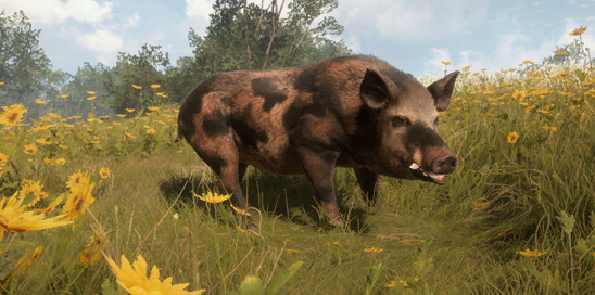 Banteng, TheHunter: Call of the Wild Wiki