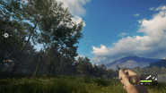 In-Game Perspective