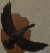 Melanistic - Front