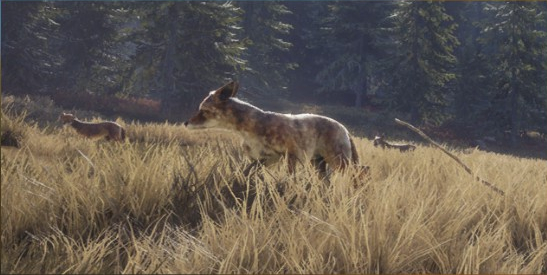 Coyote Thehunter Call Of The Wild Wiki Fandom