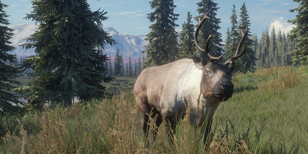 Caribou | TheHunter: Call of the Wild Wiki | Fandom