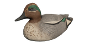 Eurasian Teal Decoy - Drake