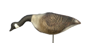 Canada Goose Decoy - Feeding