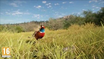 Rancho Del Arroyo Thehunter Call Of The Wild Wiki Fandom