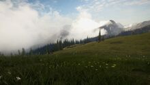 TheHunter Call of the Wild - SILVER RIDGE PEAKS ABOVE THE CLOUDS! (First  Impressions) 