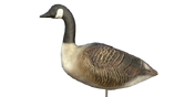 Canada Goose Decoy - Sentry