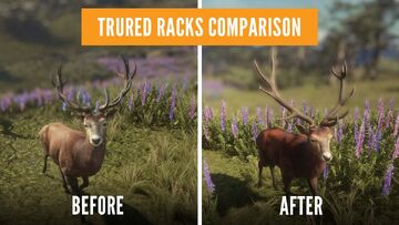 Way of the Hunter VS. Call of the Wild - THE COMPARISON! 