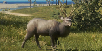 Sika Deer | TheHunter: Call of the Wild Wiki | Fandom