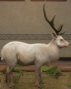 Sika Deer, TheHunter: Call of the Wild Wiki