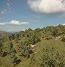 Campo del Regente