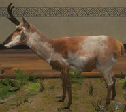 Piebald Variation 2 - Left Side