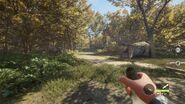 In-game perspective