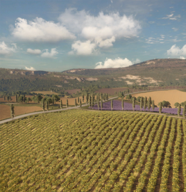 Granja Ribereña