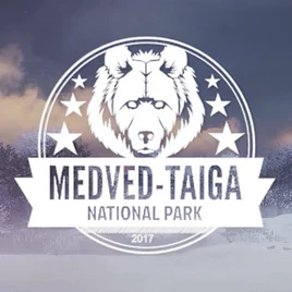 Medved logo-background