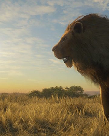 Lion Thehunter Call Of The Wild Wiki Fandom Lion Thehunter Call Of The Wild Wiki Fandom