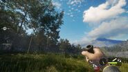 In-Game Perspective