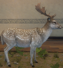 Fallow Deer, Adopt Me! Wiki