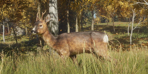 New England Mountains Reserve Out Now for theHunter: Call of the Wild -  Xbox Wire