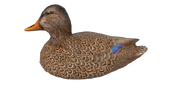 Mallard Duck Decoy - Hen