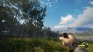 In-Game Perspective