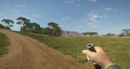 In-Game Perspective
