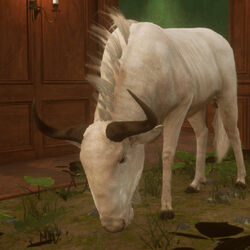 thehunter call of the wild wiki fandom