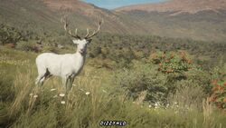 theHunter™: Call of the Wild - Parque Fernando