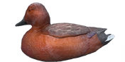 Cinnamon Teal Decoy - Drake