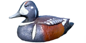 Harlequin Duck Decoy - Drake