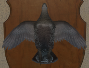 Grey Brown - Front