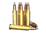 .300 Magnum Polymer-Tip Bullet