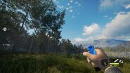 In-Game Perspective