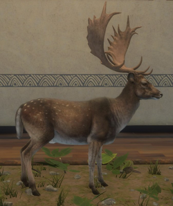 Fallow Deer, Adopt Me! Wiki