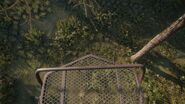From the top