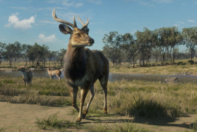 Banteng, TheHunter: Call of the Wild Wiki