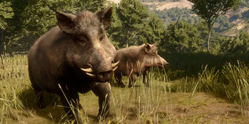 Wild Boar | TheHunter: Call of the Wild Wiki | Fandom