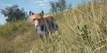 Tibetan Fox | TheHunter: Call of the Wild Wiki | Fandom