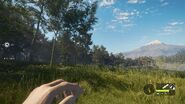 In-game perspective