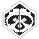 CommonRaccoonIcon