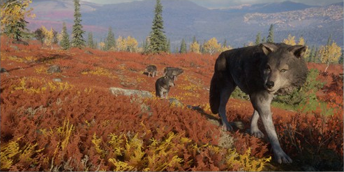 grey wolf games grey wolf games