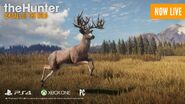 Whitetail Deer - Great One (Release image from official Twitter Account)