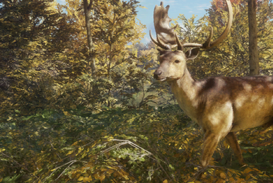 Chamois, TheHunter: Call of the Wild Wiki