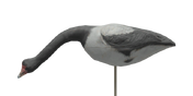 Magpie Goose Decoy - Feeding