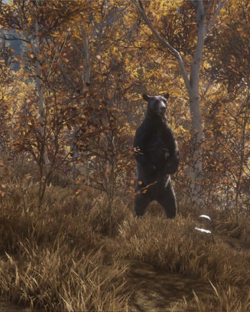 Animal Behaviour Thehunter Call Of The Wild Wiki Fandom