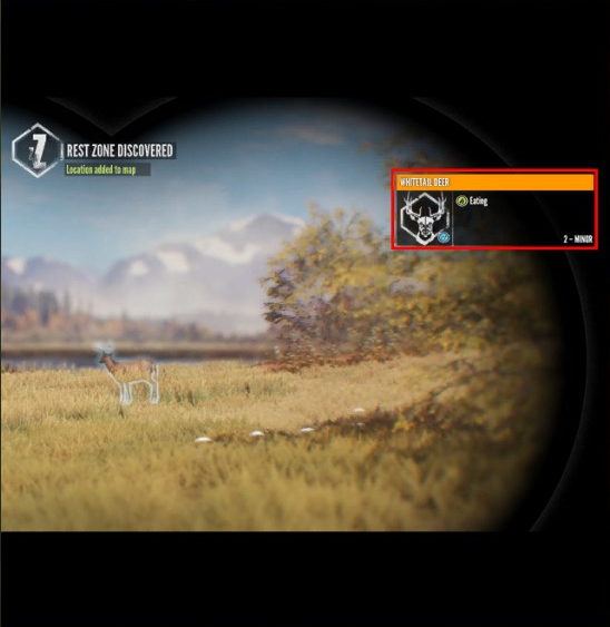 theHunter COTW – Information and More