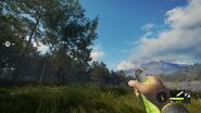 In-game Perspective