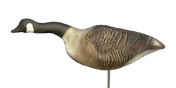 Canada Goose Decoy - Searching